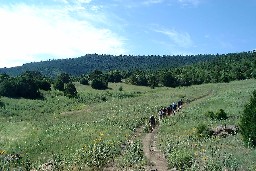 Meadow below Urraca Camp